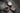 Uploaded Image