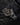 Uploaded Image