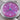 Paulin Neo GMT C