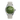 variant