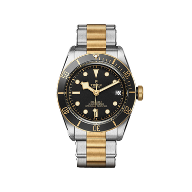 TUDOR Black Bay S&G 41mm Automatic Men's Watch