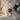 Uploaded Image