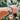 Uploaded Image