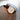 Uploaded Image