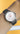 Uploaded Image