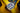 Uploaded Image