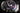 Uploaded Image