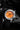 Uploaded Image