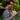Uploaded Image