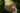 Uploaded Image