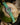 Uploaded Image